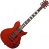 Washburn WI320FTR