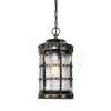 Oasis Light Подвесной уличный светильник Barselona 81205 (G_B) 795722
