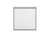 Digis экран настенный dsob-1106 optimal-b 240x240cm 1:1 17065