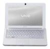 Sony VAIO VPC-W11S1R (Atom N280 1660 Mhz/10.1"/1366x768/1024Mb/160.0Gb/DVD ???/Wi-Fi/Bluetooth/WinXP Home)