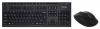 SmartBuy SBC-211703AG-K Black USB